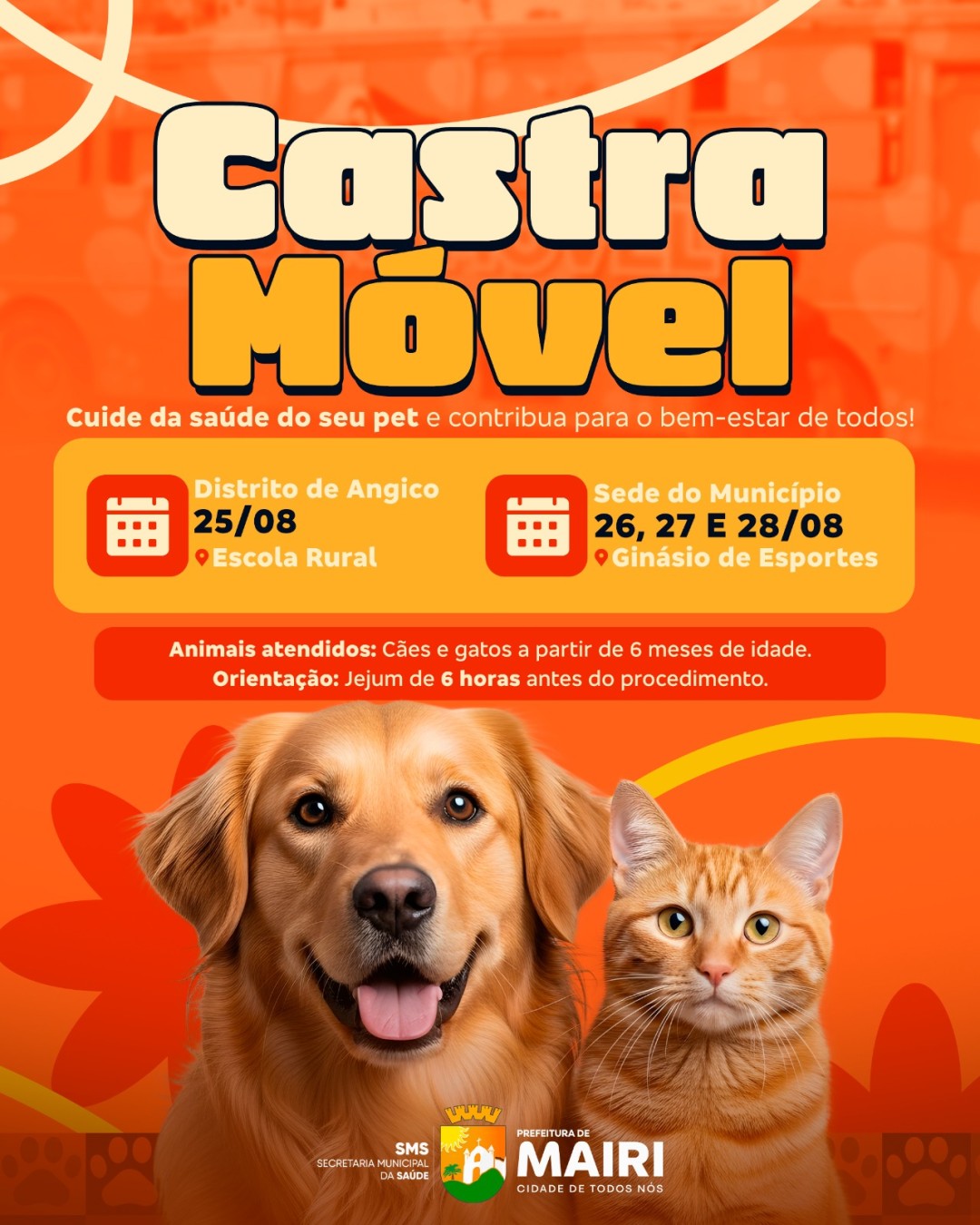 Castra Móvel chega a Mairi para atendimento de cães e gatos